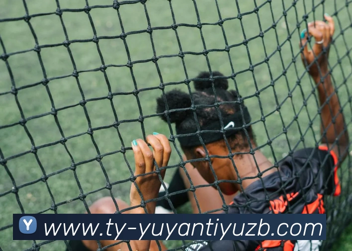 App Interface Preview