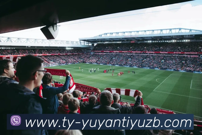 雨燕体育直播APP 体育赛事宣传图